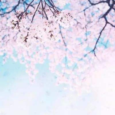 暴风雪绳索英雄