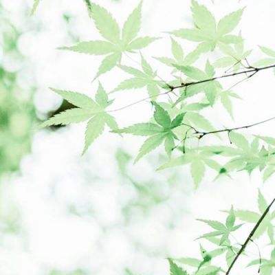 游戏王决斗链接