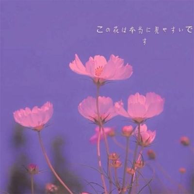 胜游体育